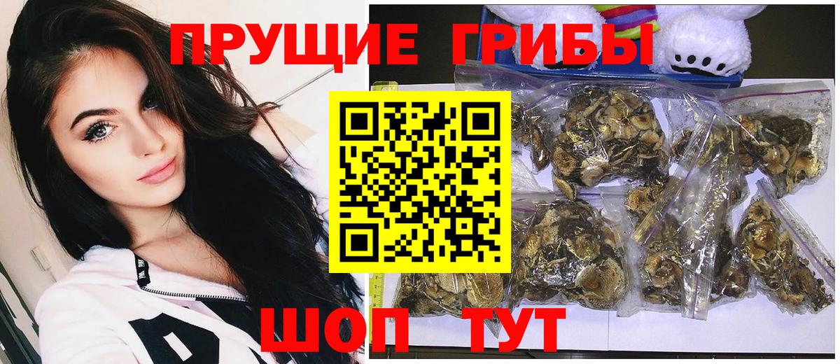 Псилоцибиновые грибы GOLDEN TEACHER Еманжелинск