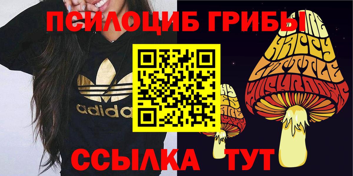 Псилоцибиновые грибы мицелий  Вход с VPN  Еманжелинск 