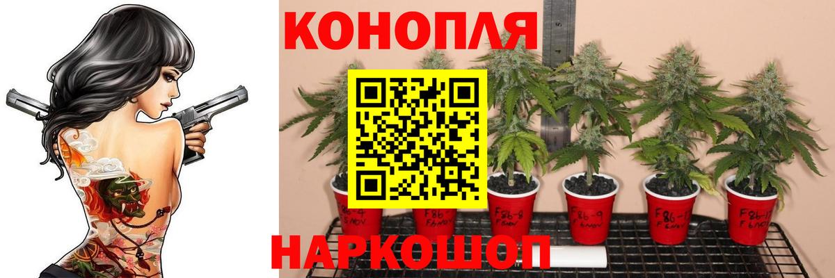 Еманжелинск  Бошки марихуана семена  Марихуана планчик  МАРИХУАНА THC 21%  Вход с VPN 